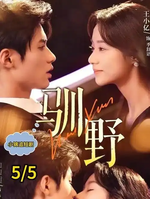 总裁的替身新娘短剧免费观看平台